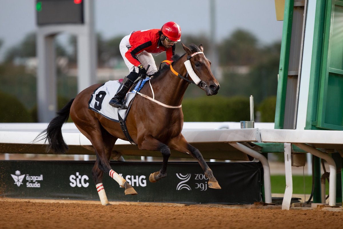 ميدان الأمير سلطان tweet media