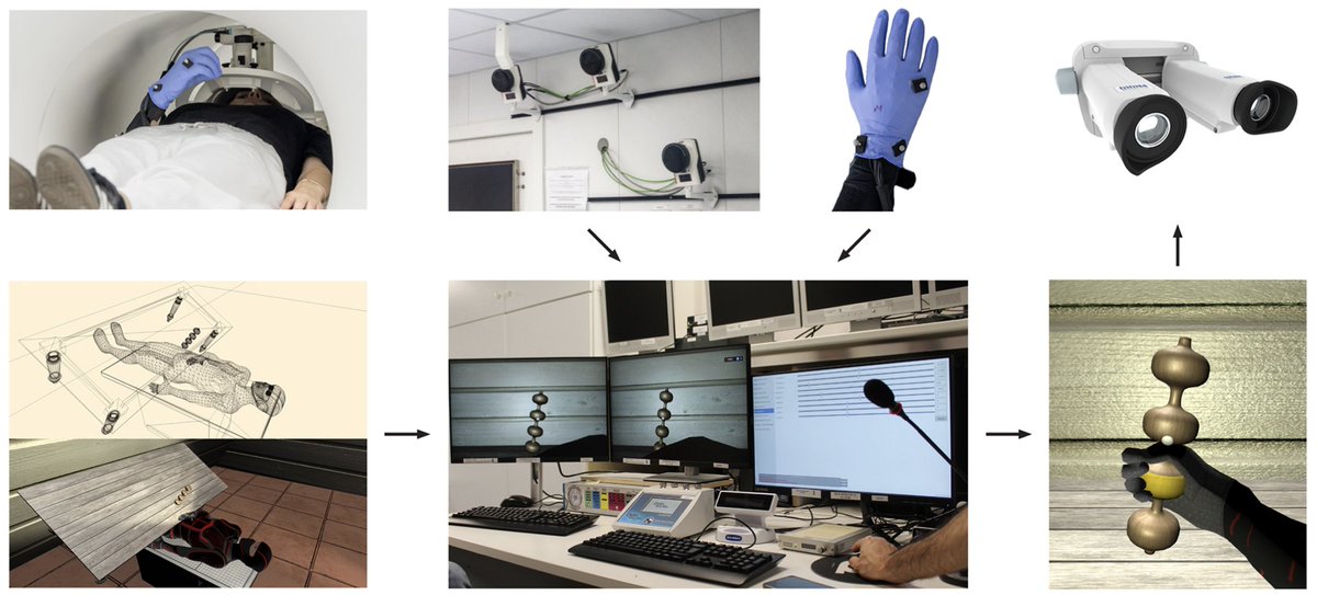 New paper in Imaging Neuroscience by Federica Bencivenga, Gaspare Galati, et al:

MOTUM: A system for Motion Online Tracking Under MRI

doi.org/10.1162/IMAG.a…