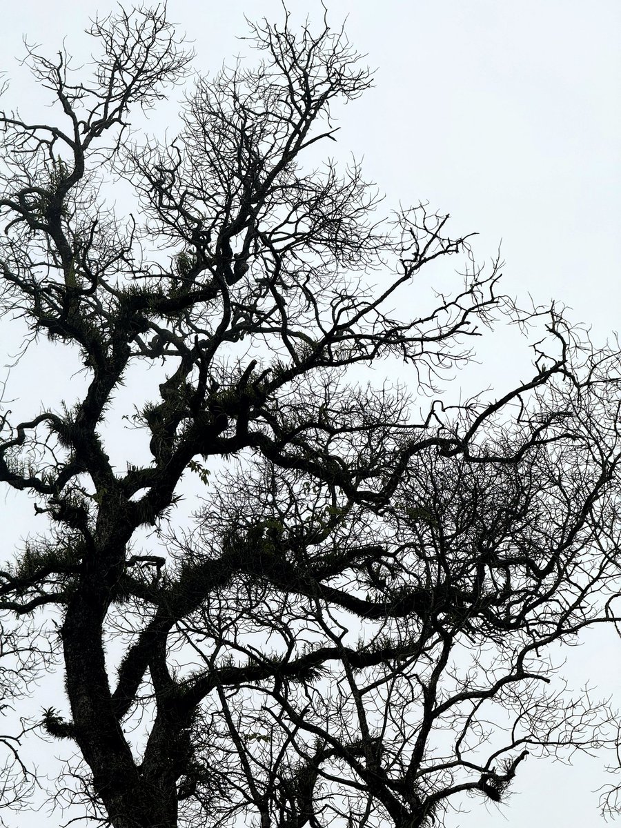 Your own consciousness leaves you when things get cold.