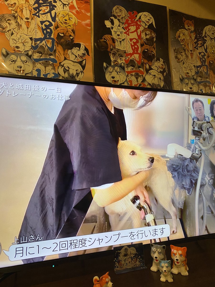 🌌高橋よしひろ先生新連載🌌銀牙伝説レクイエム🌌 (@katukatu210