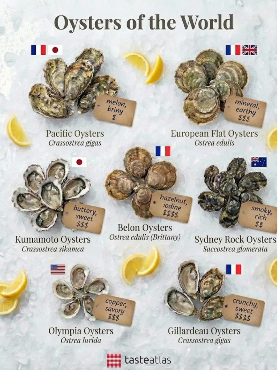 TasteAtlas's tweet image. Oysters were never everyday food. They come from cold, moving water and are eaten raw because heat would erase what makes them special. A good oyster tastes of the place it grew in: clean salt, minerals, a hint of seaweed, sometimes even metal or cucumber.

Texture matters as…