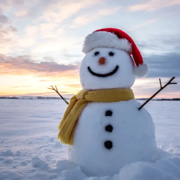 Lowfield Primary Sch tweet media