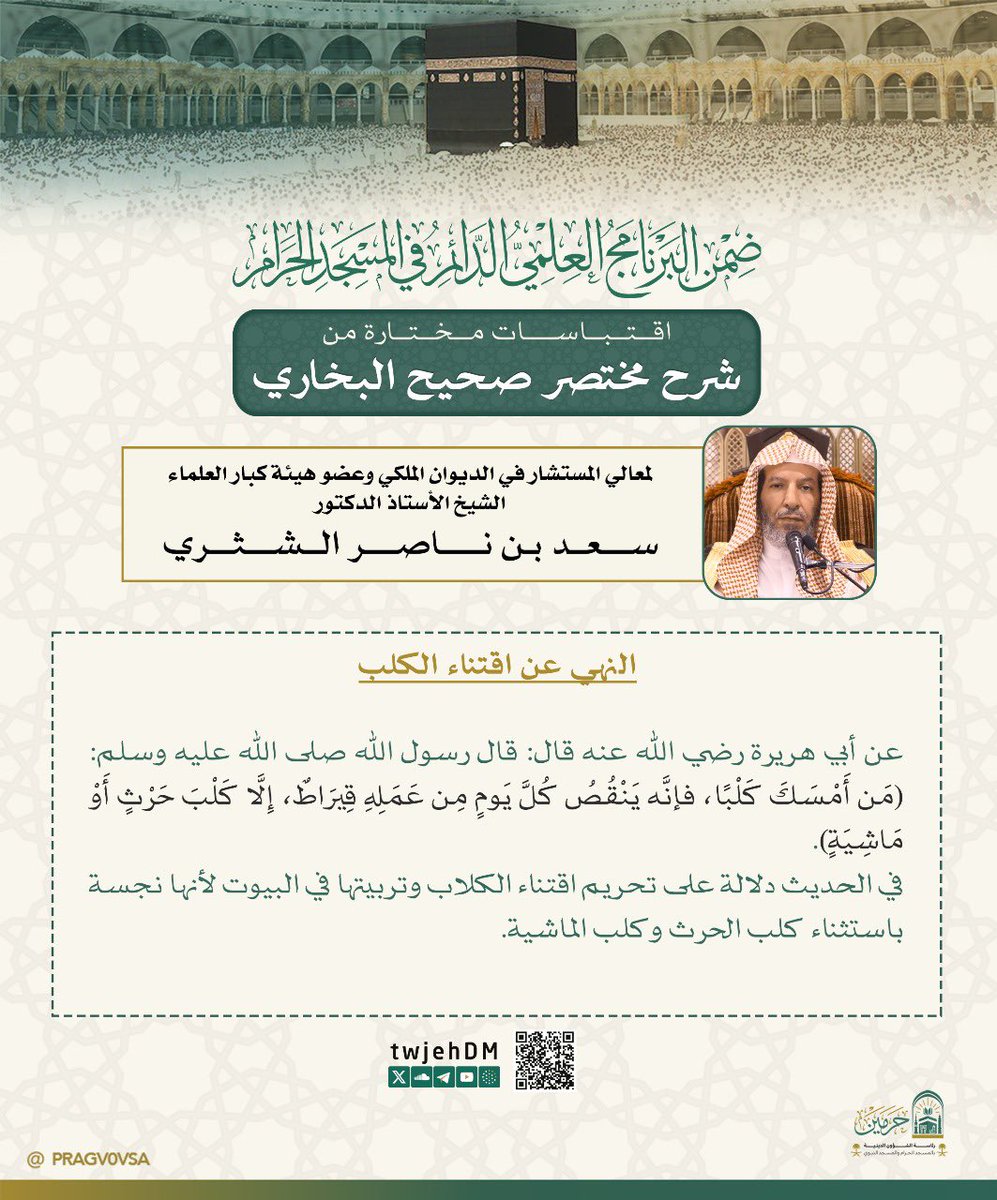 ريحـــــــــانة مكة (@arihnah1012) on Twitter photo 