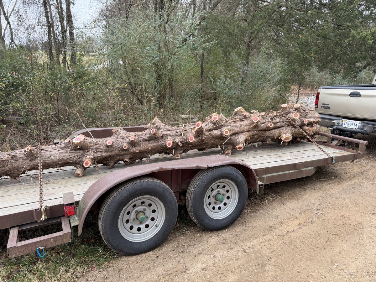 Paul Van Buren, MBA tweet media