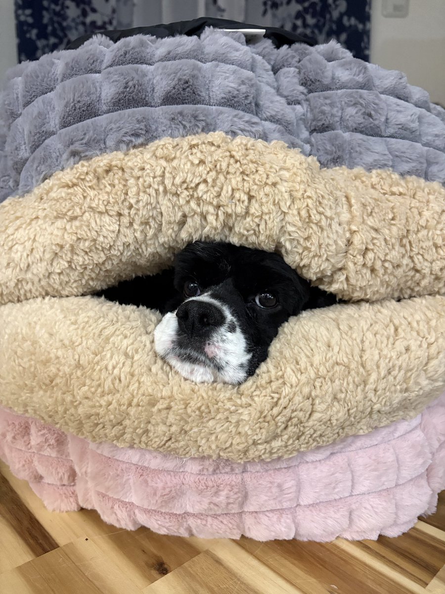 くうちゃんの2歳の誕生日！！！