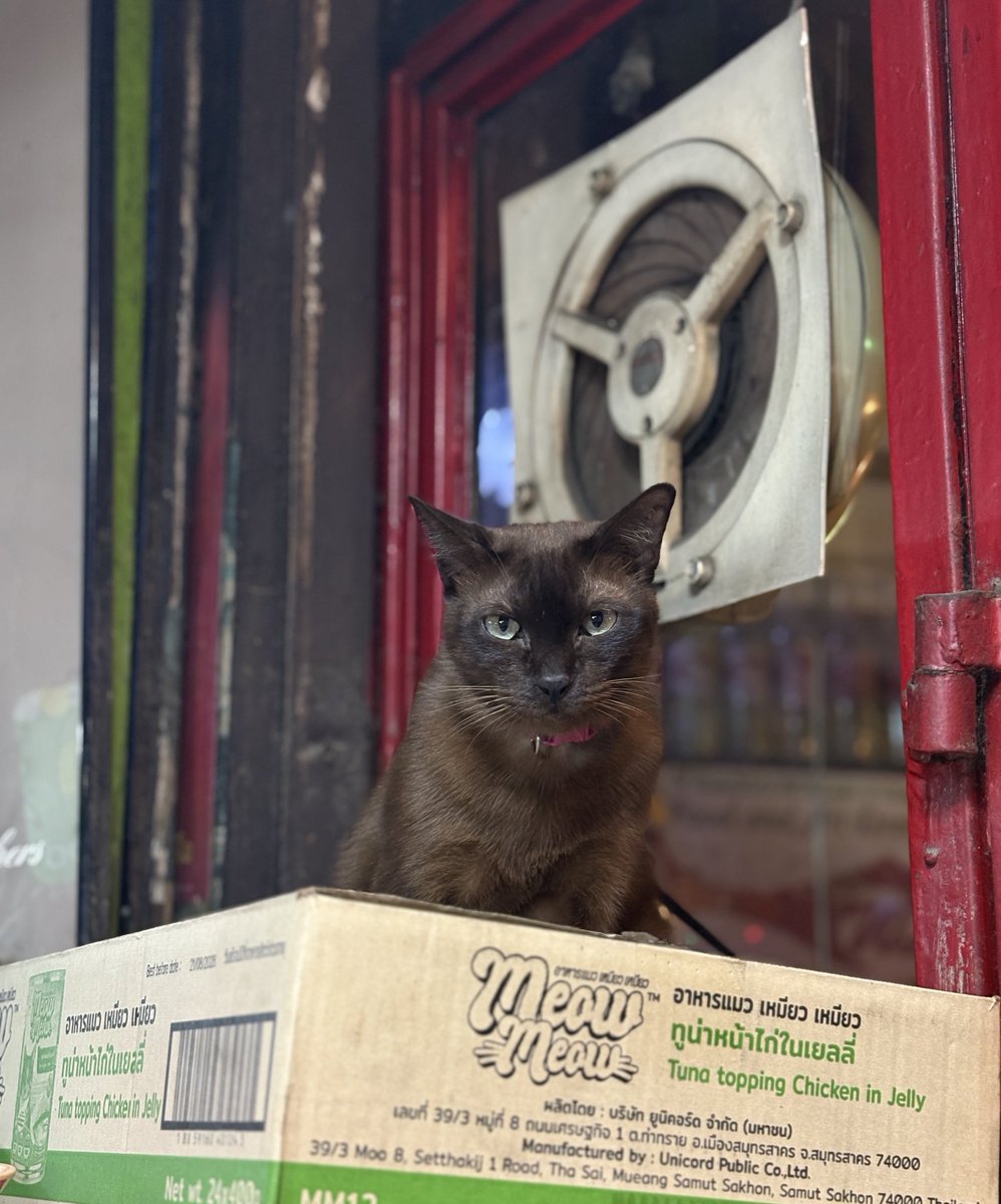 Jazadocument tweet media