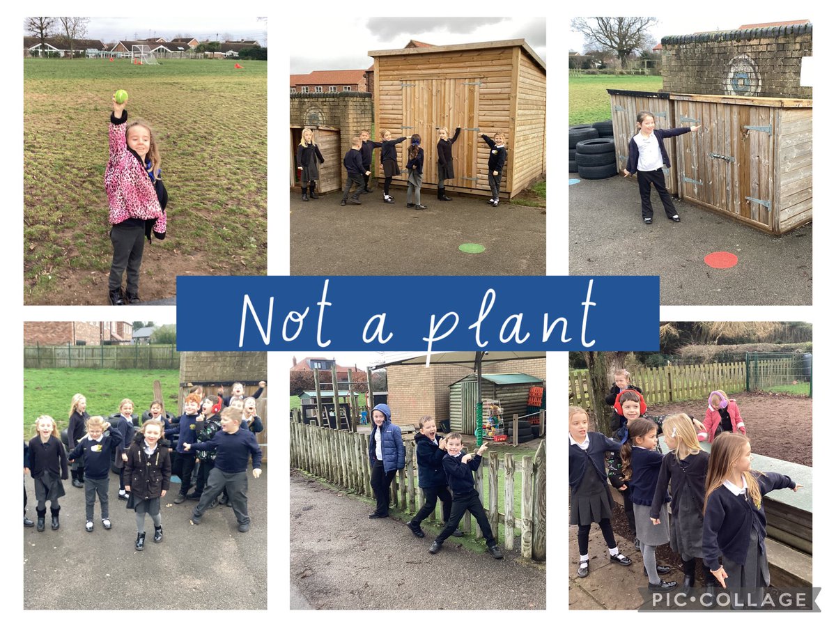 CamblesSchool's tweet photo. Team Otters 𦦠have been working hard to observe and identify in Science this afternoon. We have thought about what a plant is and how we can identify plants around our school. #CamblesforthScience https://t.co/05p6CQ8Rgx