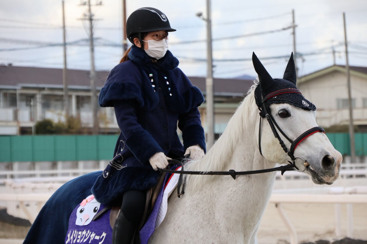 さくら　エアロペガサス　コメント欄必ずご覧ください。 Mitsu 🛫🛫 (@Air_1239) / Posts / X
