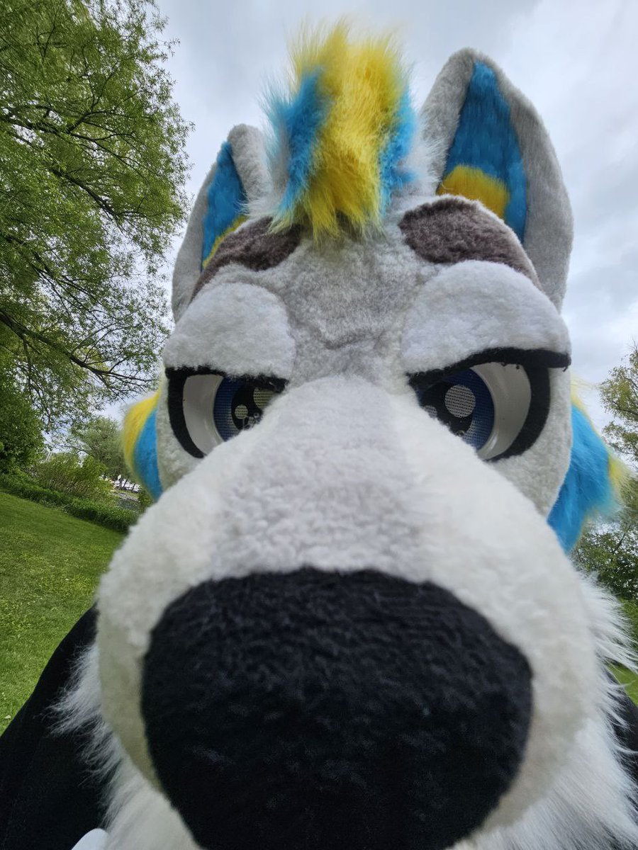 Spark Husky tweet media