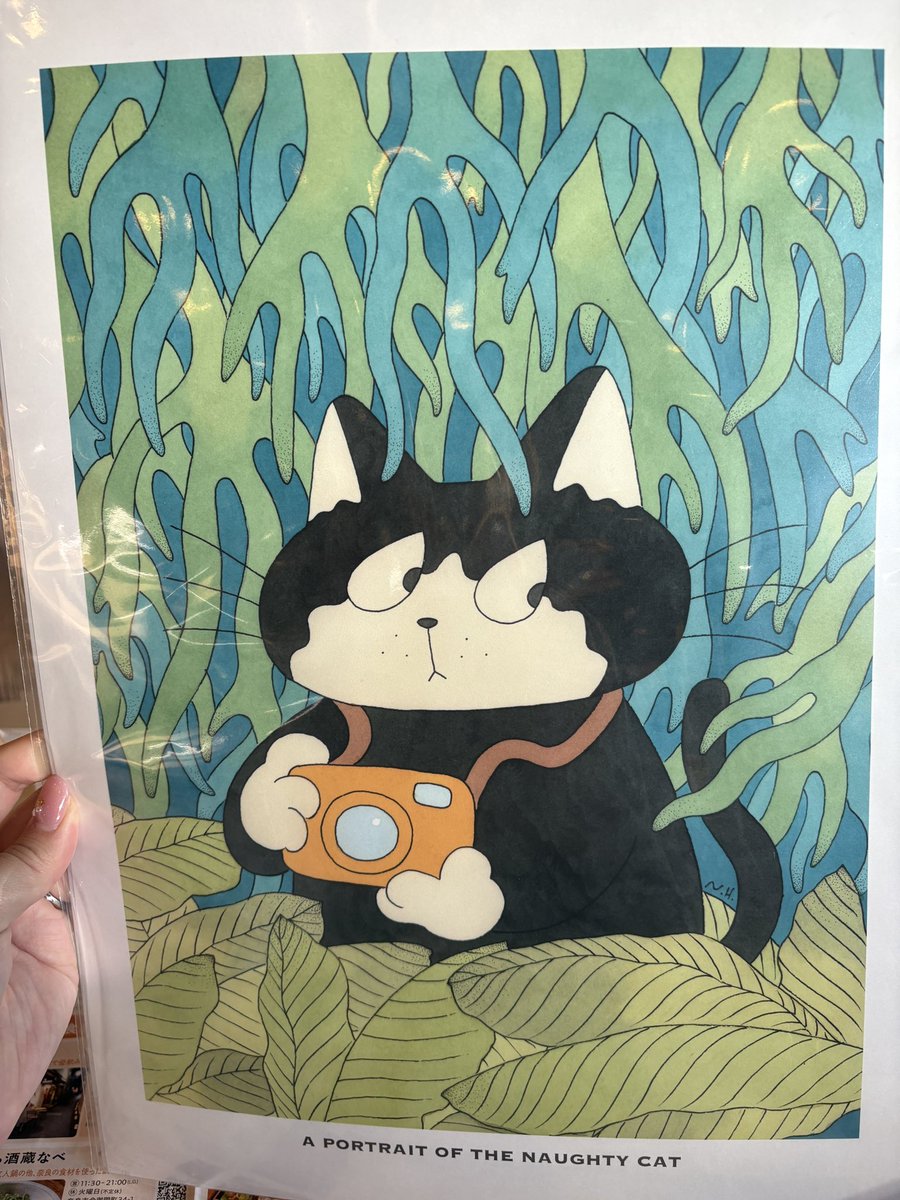 ふじつぐ（TSUGU） | Webのひと tweet media