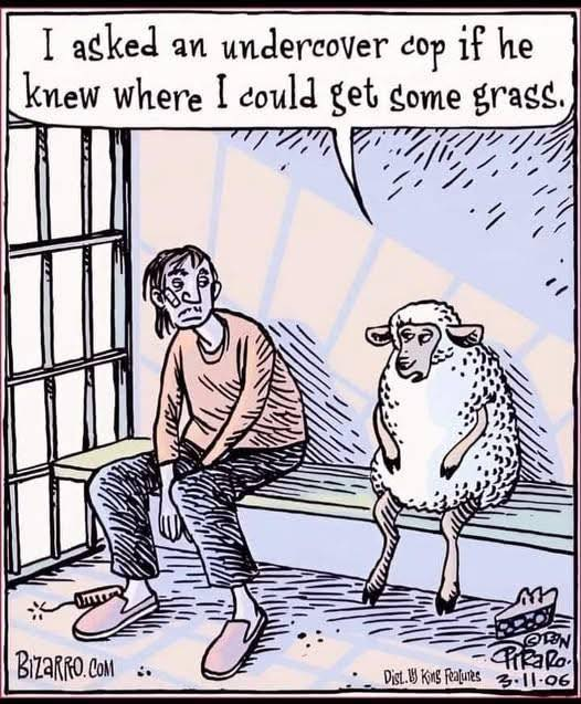 Momma always did say not to talk to strangers....