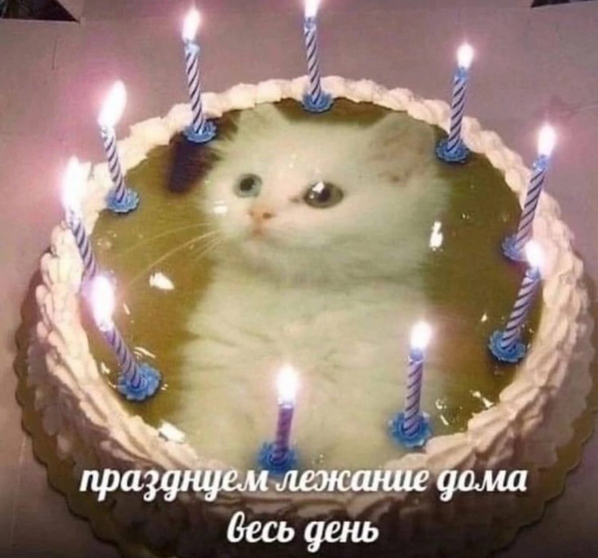 Я 1-ого января: надо провести январские максимально активно!!

Я сейчас: