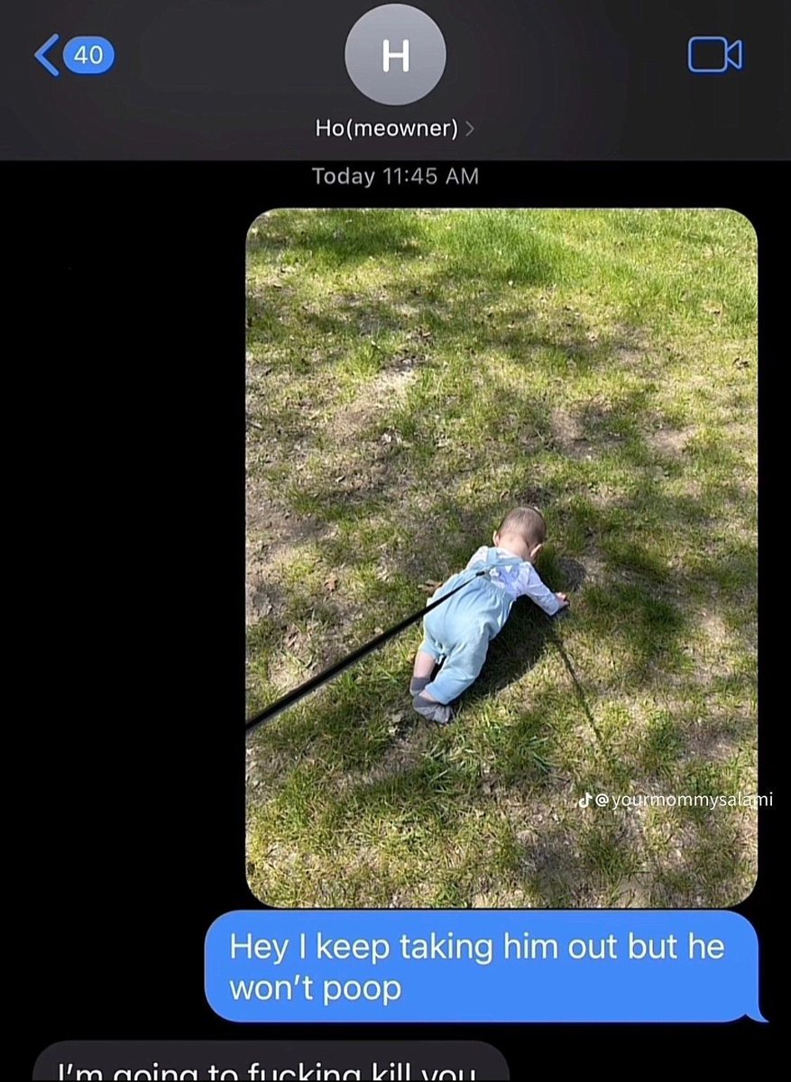 dinosaurs1969's tweet image. 