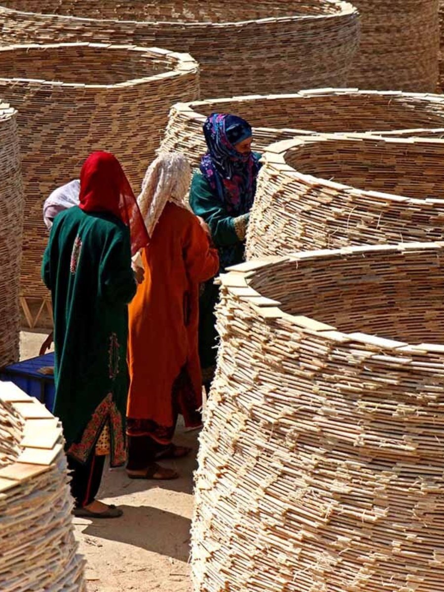 PEFC International tweet media