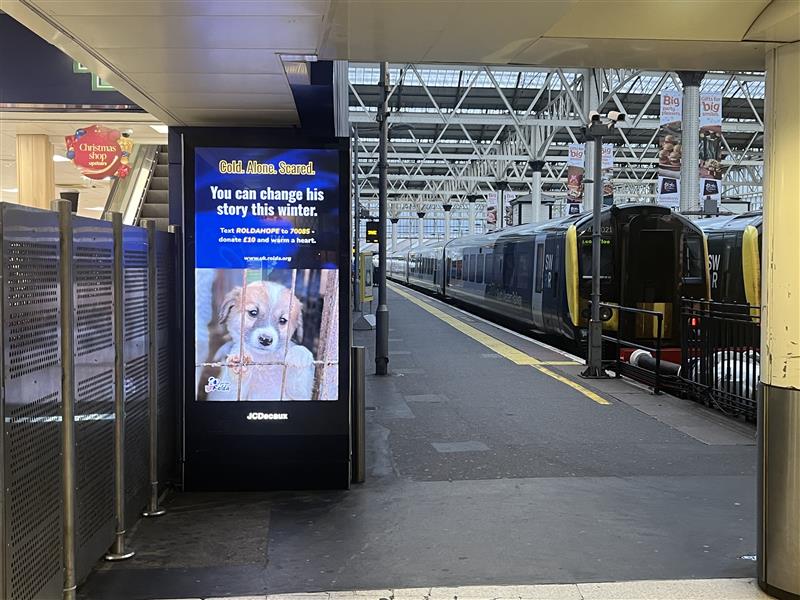 ROLDAOrg's tweet image. Spotted: our new ROLDA billboards at Victoria Station in Manchester! 

Thank you to all of our sponsors who made this possible - sharing our mission far and wide is such a big part of what helps us continue our work  🐾♥️

PS. let us know in the comments if you’ve seen any of our…