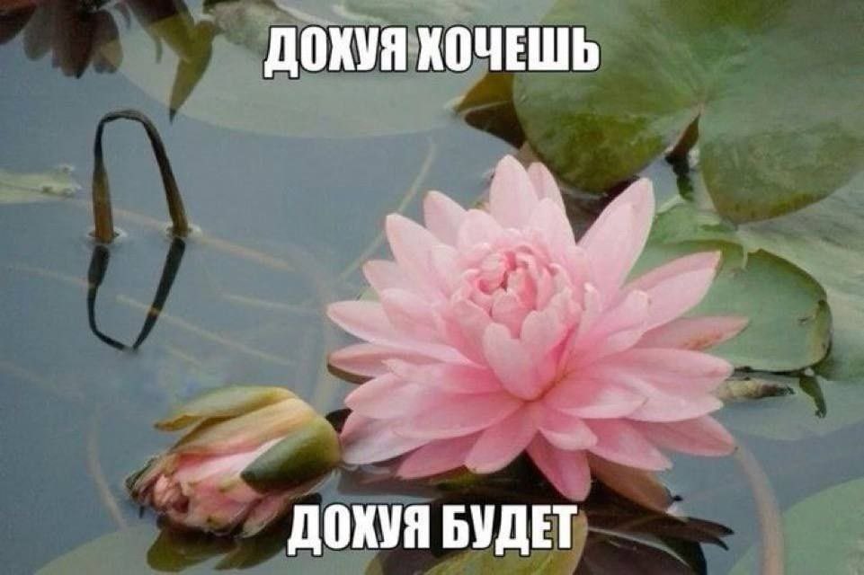 Поставьте лайк и все будет