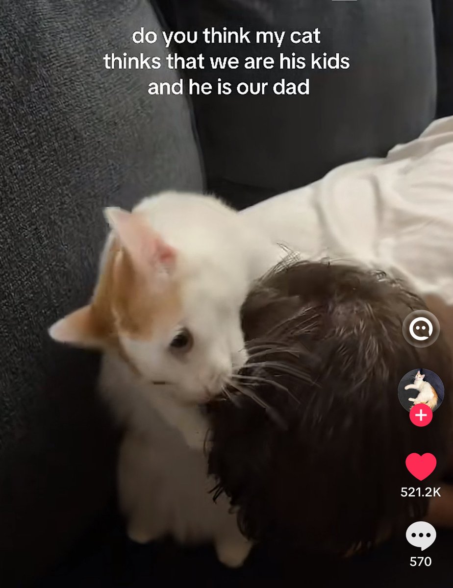 br6tle's tweet image. markle