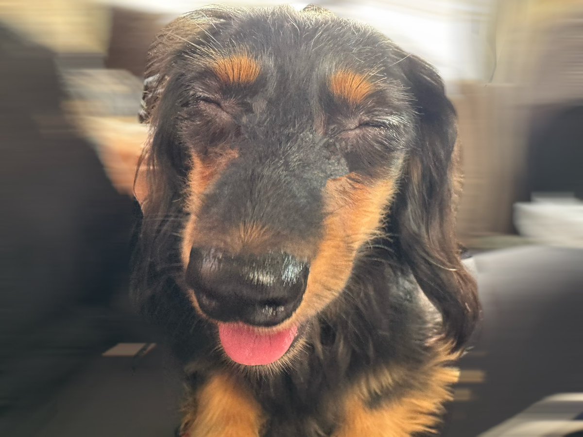 七草天甜 スーパーマカロニサラダ tweet media