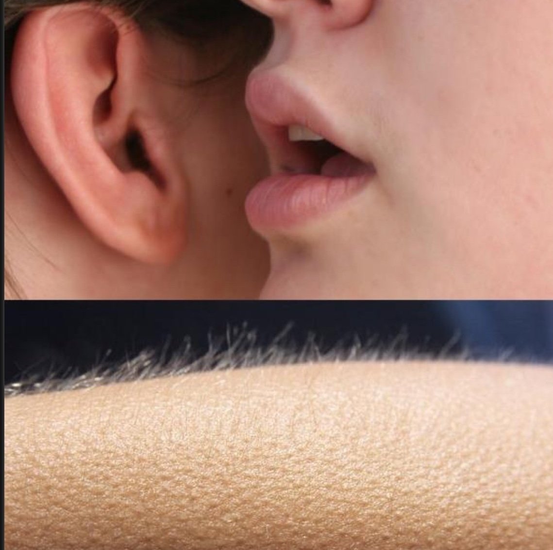 senshi_real's tweet image. o que ela disse?