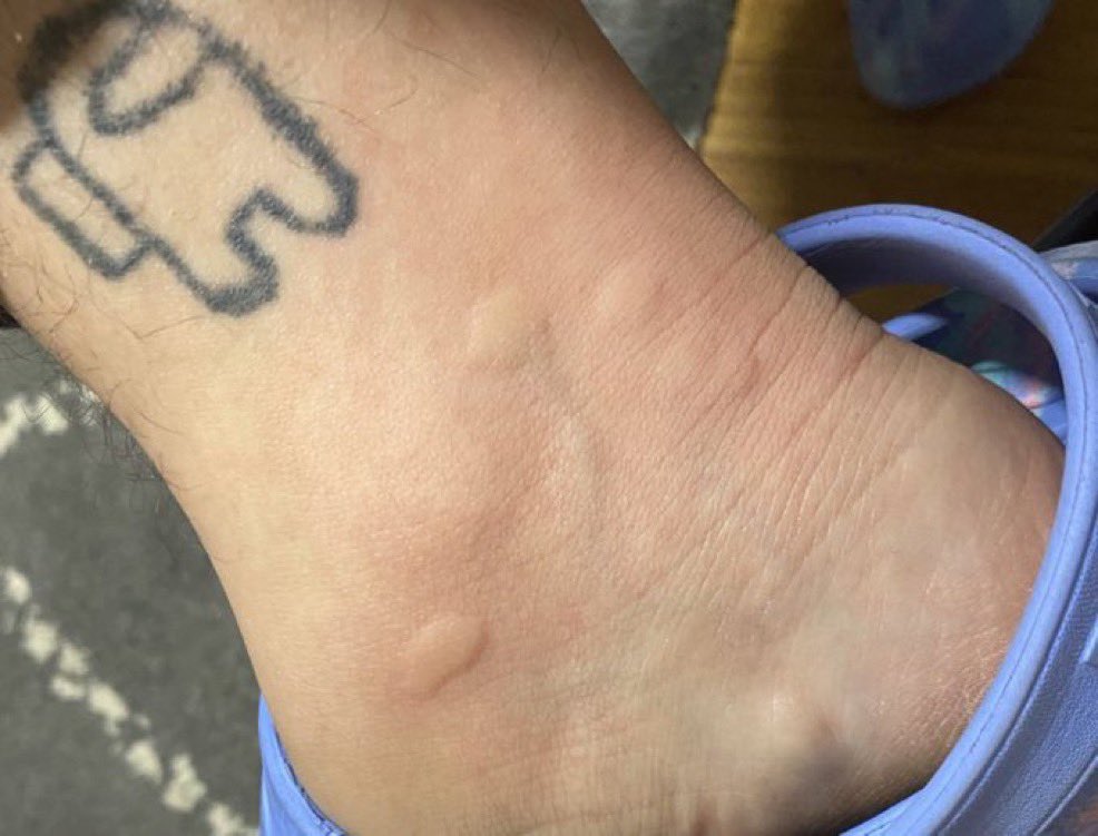 herr knax tweet media