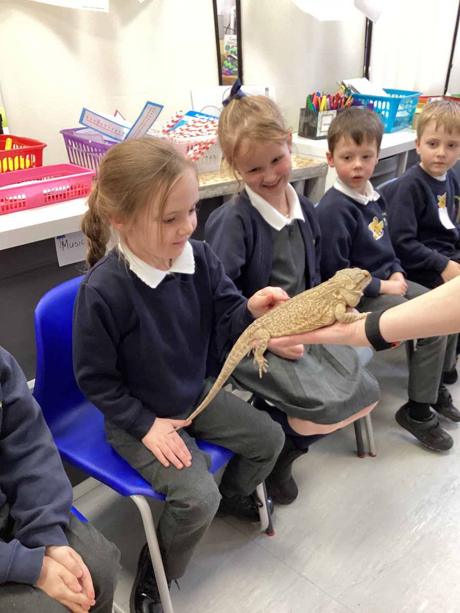 Christ Church Primary School Denshaw tweet media