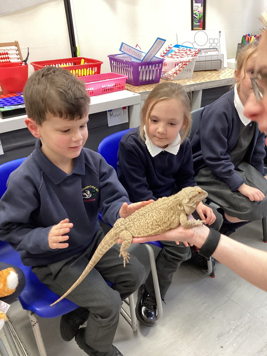 Christ Church Primary School Denshaw (@ccdenshaw) on Twitter photo 