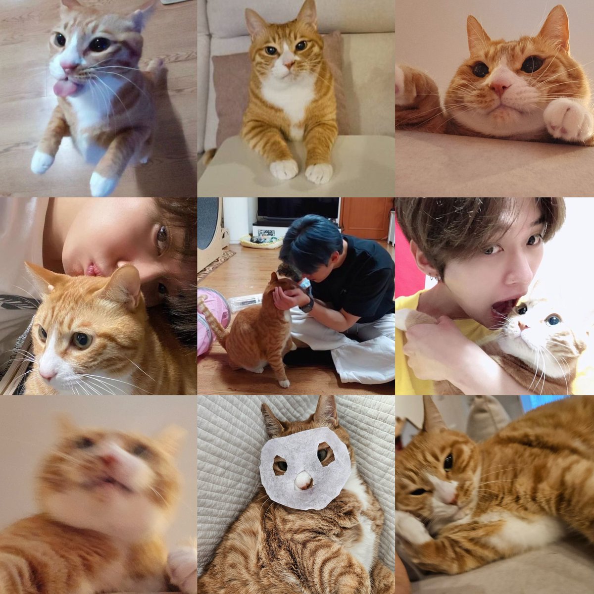 MlNHORIZON's tweet image. 01/10 is soonie's birthday! please congratulate soonie's birthday 🎂🥳 #HappySoonieDay