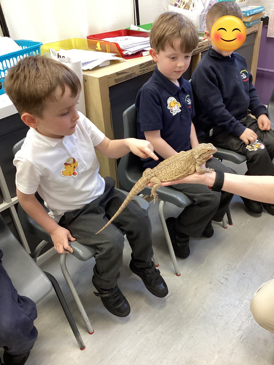 Christ Church Primary School Denshaw tweet media