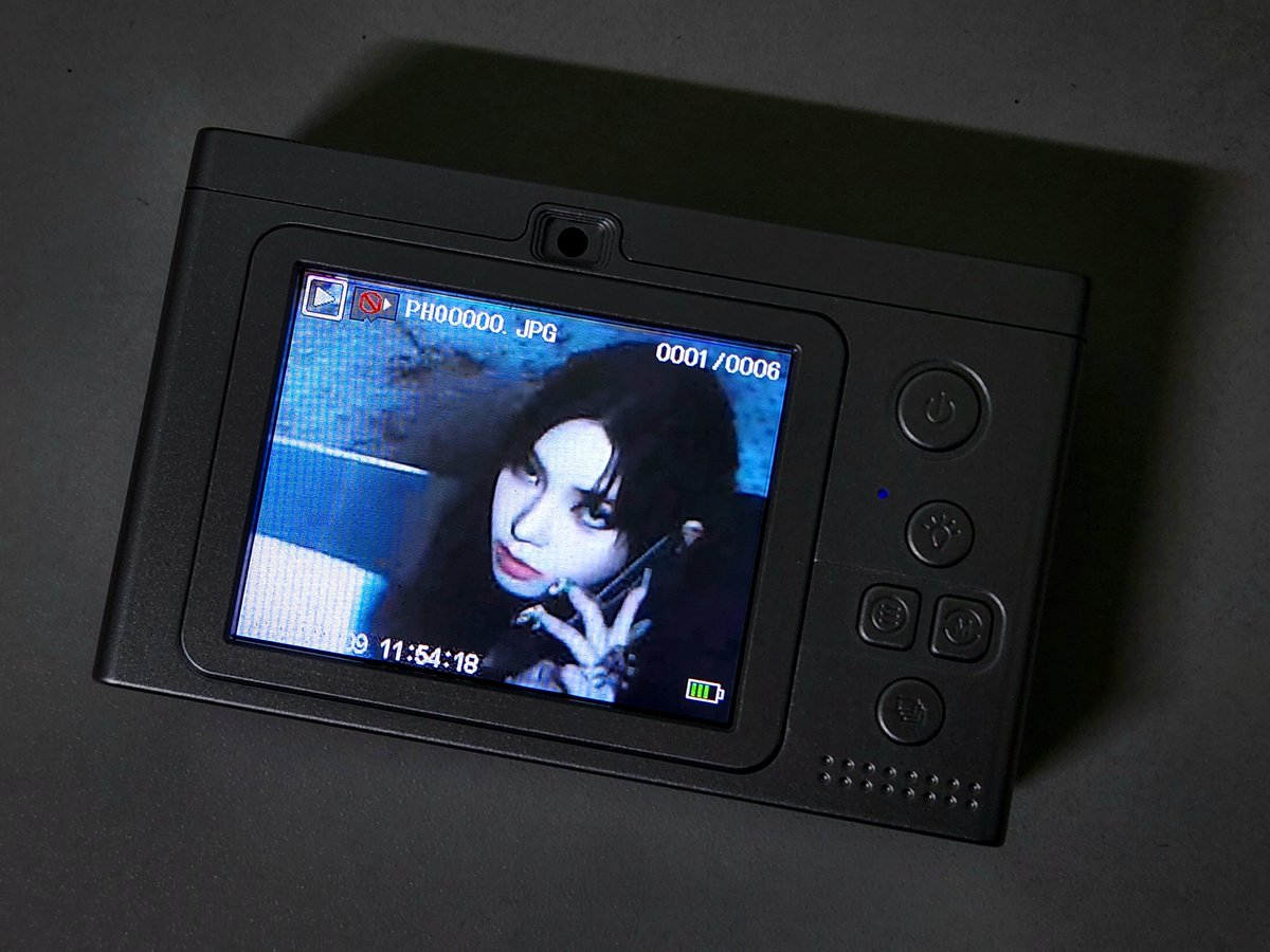 핑둘이 tweet media