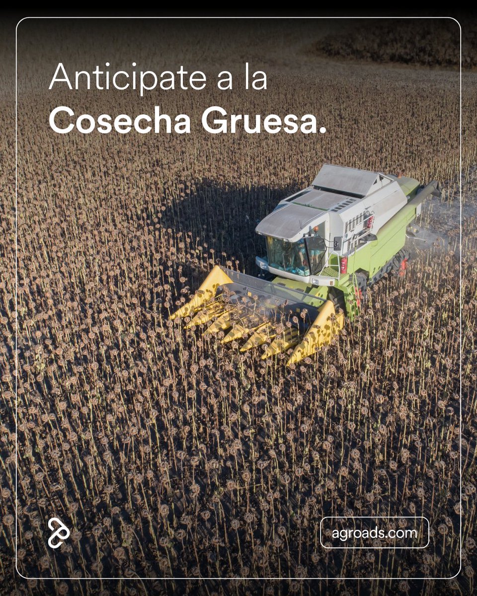 Agroads's tweet image. Anticiparse es clave para llegar a la cosecha sin imprevistos 🌽🚜
Encontrá maquinaria, repuestos e insumos para preparar el campo y encarar la cosecha gruesa con todo listo.
bit.ly/4pvl3cA
#Agroads #CosechaGruesa #CampoArgentino #OfertasAgro #ProductoresArgentinos