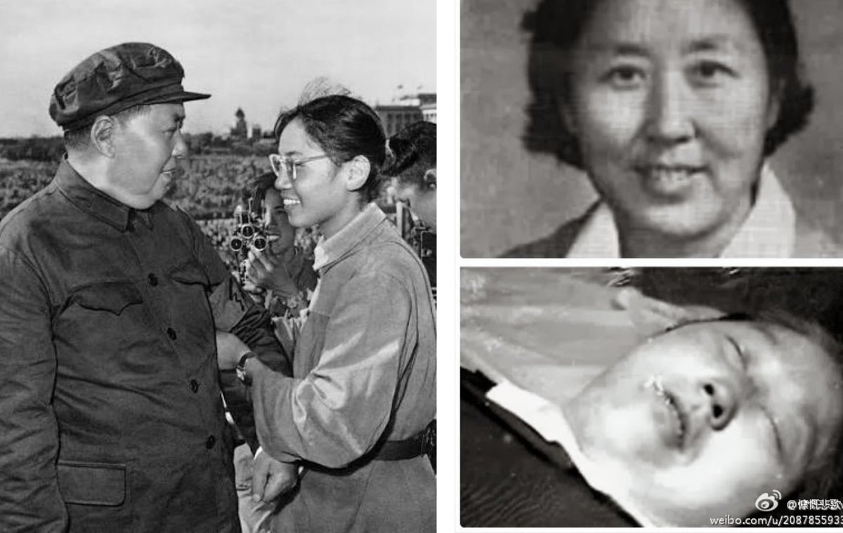 Xi Van Fleet tweet media