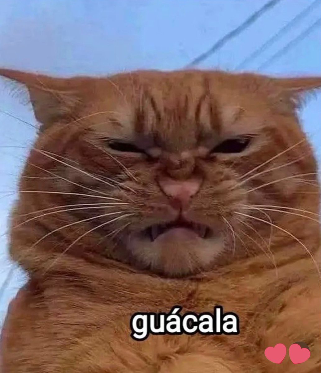 Pao del Arrabal tweet media