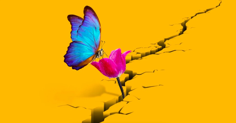 Turn Two Communications tweet media