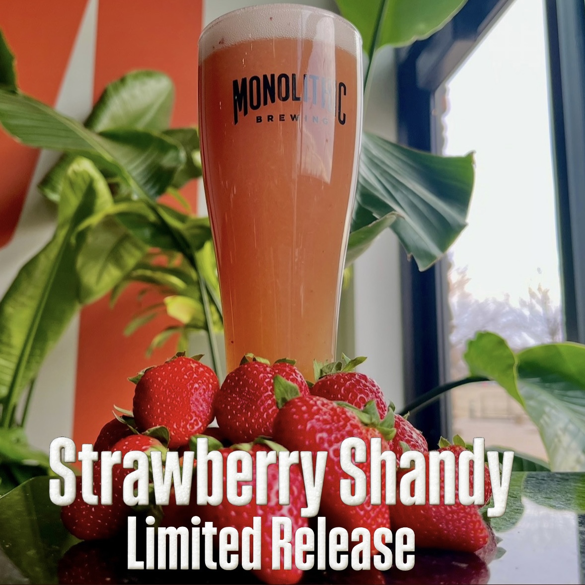 WE have a new keg of Shandy freshly tapped, so stop down this weekend and get it before it’s gone. 

Strawberry Shandy – 4.7% abv - We added fresh strawberry puree to our Monolithic Lemon Shandy. This one has big flavors of strawberry jam with a crisp lemon finish. No Crowlers.