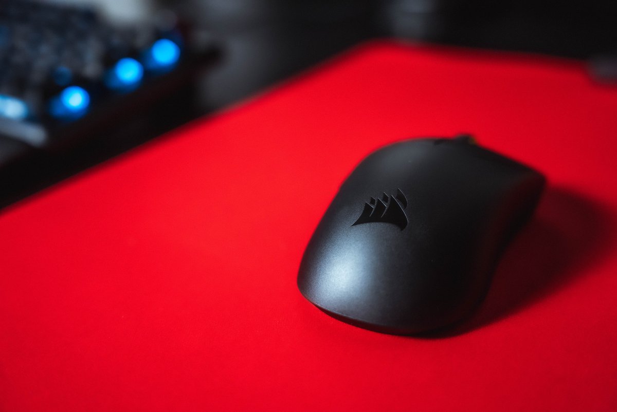 Wildcard tweet media