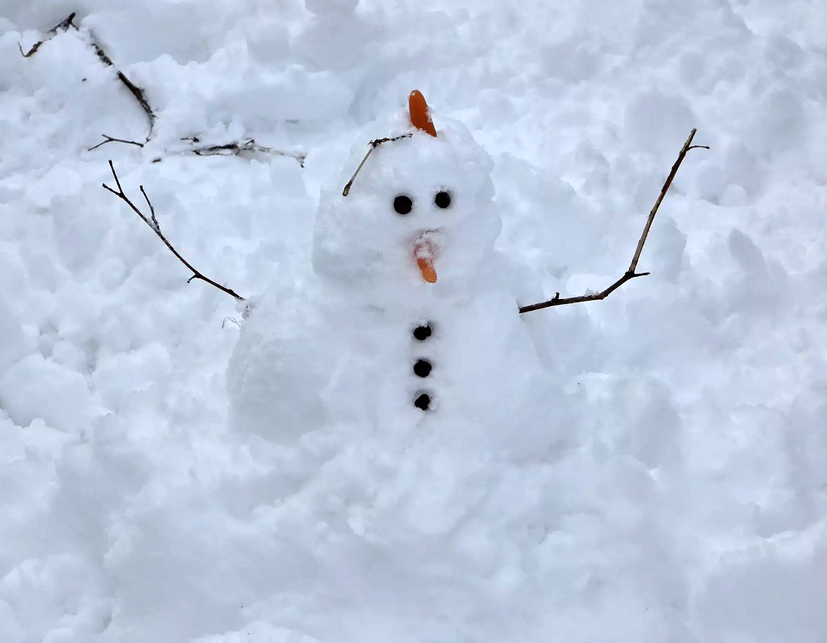 Office of the NJ State Climatologist tweet media