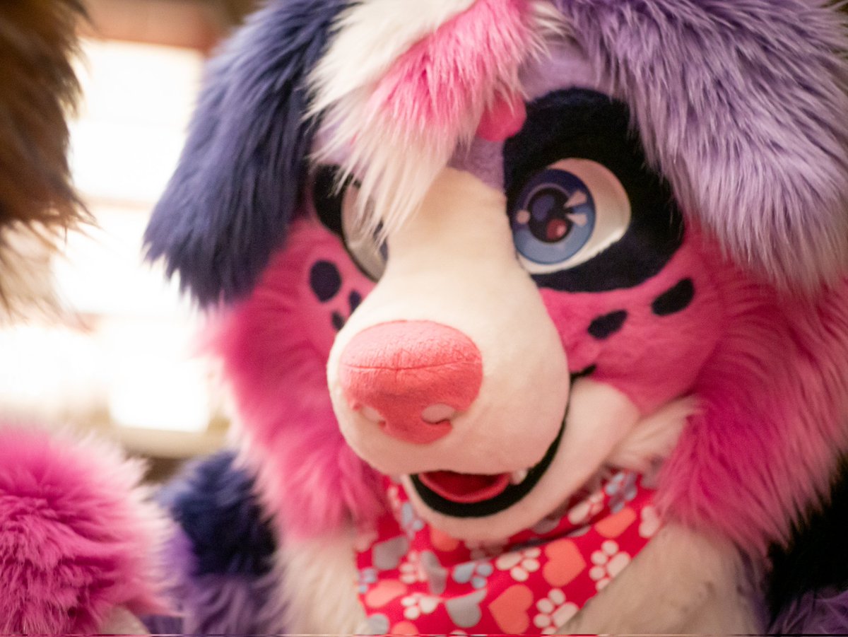 Ark Aussie 🏳️🌈 tweet media