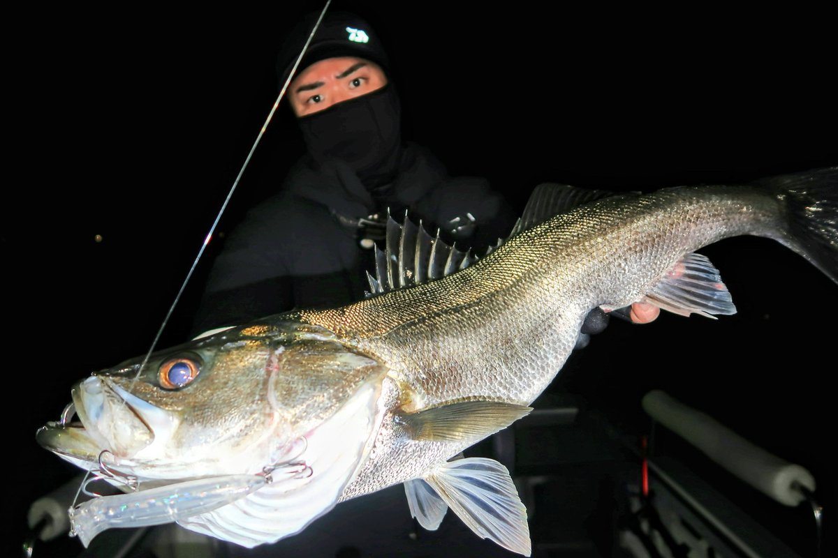 GONZO＠（hayaken) (@GONZOUDAIWA) / Posts / X