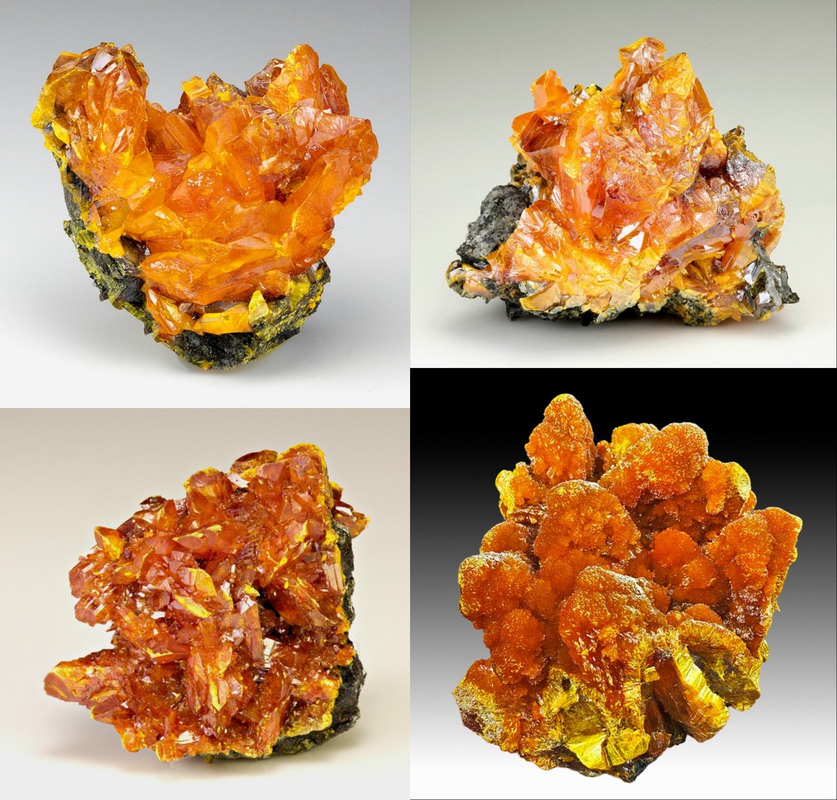 geologyBits's tweet photo. 🟥 ⛏️ Orpiment
is a vibrant orange-yellow arsenic sulfide mineral with the formula As2S3, crystallizing in the monoclinic system and exhibiting a resinous luster.
🔁 ❤️
#Orpiment #PeruvianMinerals
🎞 https://t.co/azK6mwcrg0
▶️ It is relatively soft with a hardness between 1.5 and 2 on the Mohs scale and has a specific gravity around 3.5, making it noticeably dense for its appearance.
Specimens from Peru often display wedge-shaped or bladed crystals up to several centimeters in size, sometimes aggregated with white barite or intergrown with red realgar, and can show a fiery translucence when backlit.
▶️ Geologically, orpiment forms in low-temperature hydrothermal settings, including veins, fumaroles, and hot springs, where it precipitates from arsenic-rich fluids or alters from other arsenic minerals like realgar.
↘️ In Peru, it is prominently associated with epithermal deposits in the Andes, such as those at the Quiruvilca Mine in the La Libertad region, where it occurs within polymetallic sulfide ores containing copper, lead, zinc, and silver at elevations exceeding 11,000 feet.