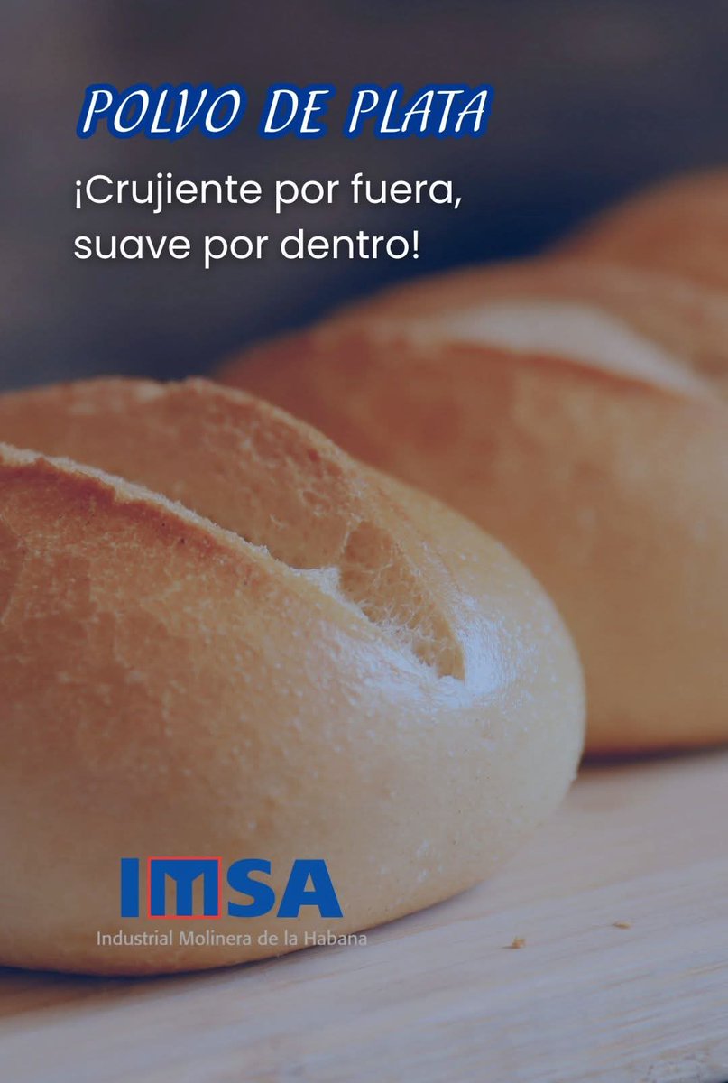 ¿Buscas estructura, elasticidad y volumen? 
Nuestra harina de fuerza #PolvodePlata es la solución ideal. Es perfecta para:  
Panes artesanales con miga alveolada  
Roscas y brioche de gran estructura  
Masas de pizza resistentes y crujientes  
 #HarinaDeFuerza #IMSA