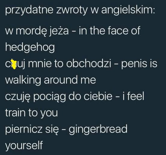 Bruno Jasieński tweet media