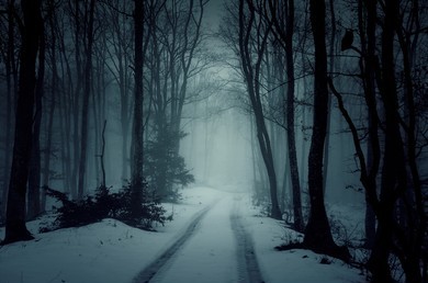 TUNE IN 01 tweet media