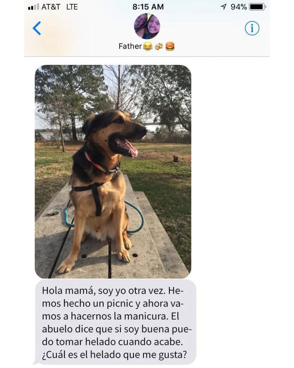 Plu2Desampara2's tweet image. Una chica dejó a su peludo bajo los cuidados de su papá y esto pasó 🥰