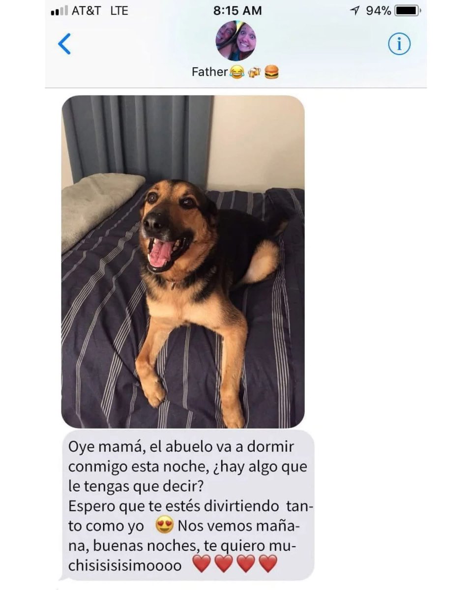 Plu2Desampara2's tweet image. Una chica dejó a su peludo bajo los cuidados de su papá y esto pasó 🥰