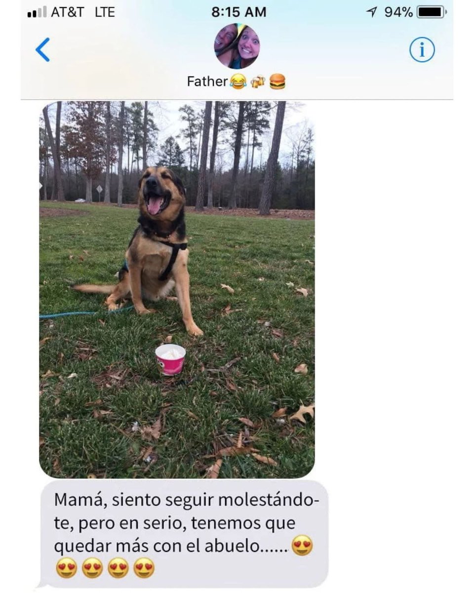 Plu2Desampara2's tweet image. Una chica dejó a su peludo bajo los cuidados de su papá y esto pasó 🥰