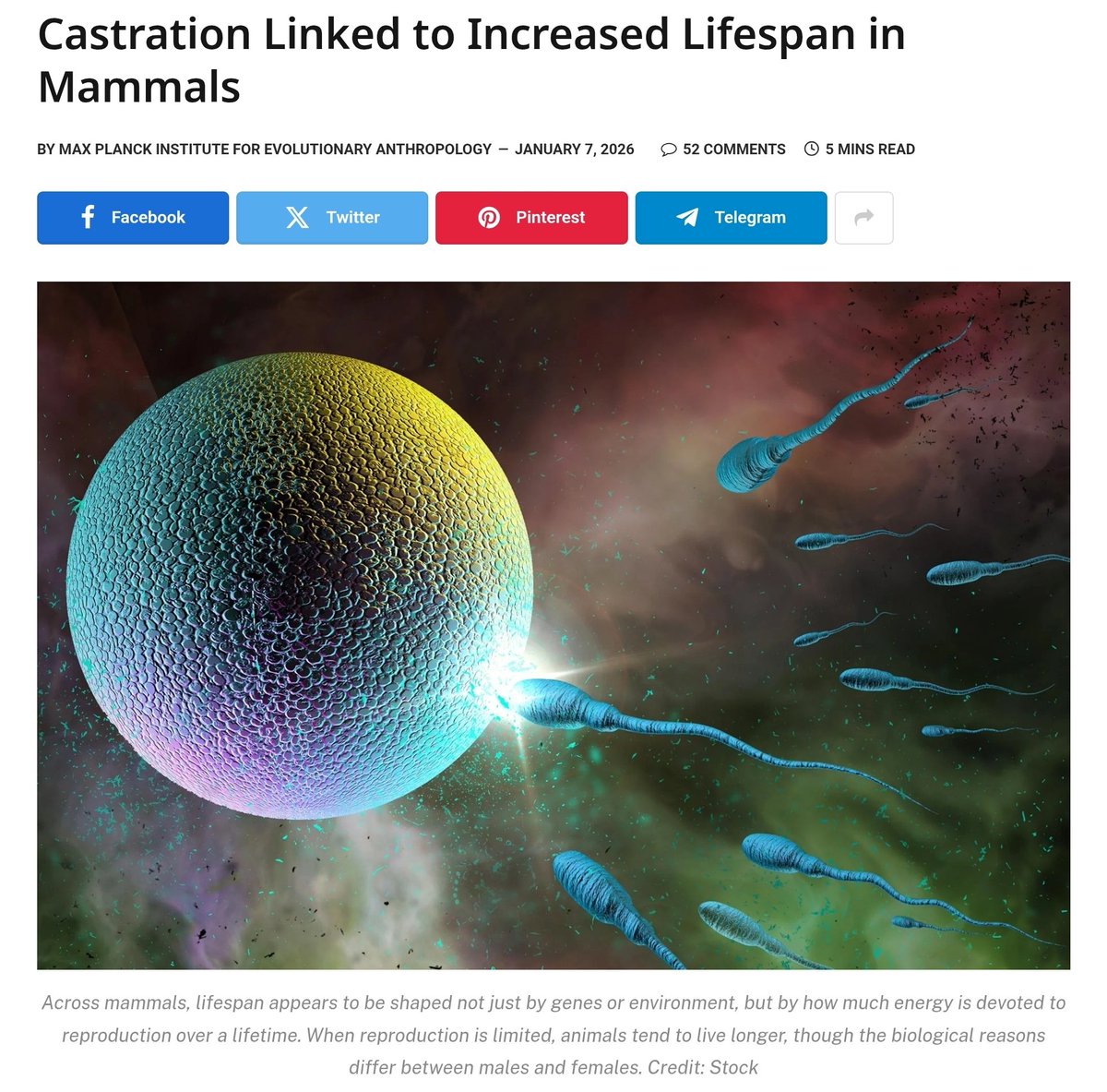 ElizabethHolmes's tweet image. How committed is @bryan_johnson to increasing lifespan?
Your move Bryan. 🔪🥜
scitechdaily.com/castration-lin…