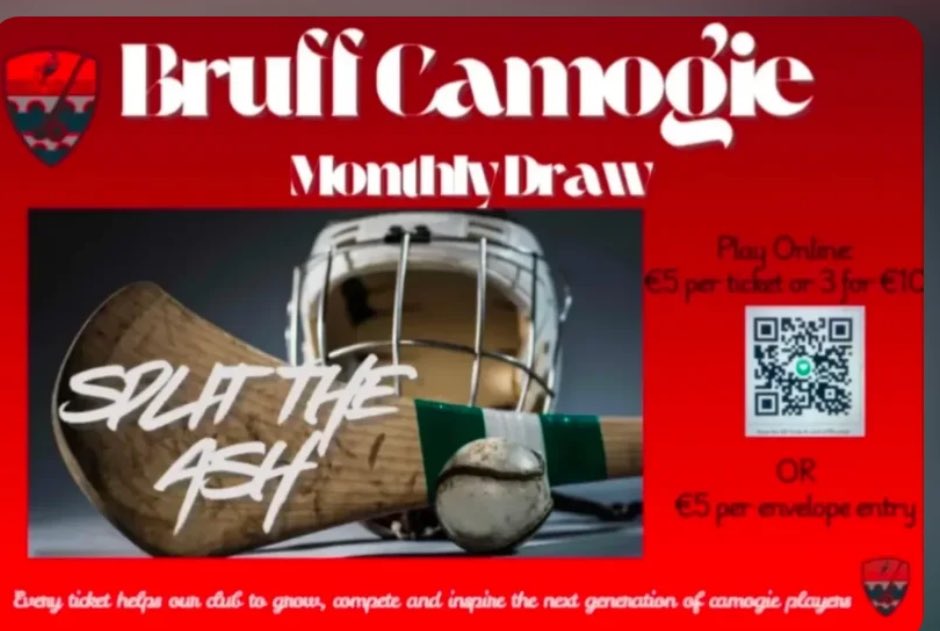 Bruff Camogie Club tweet media