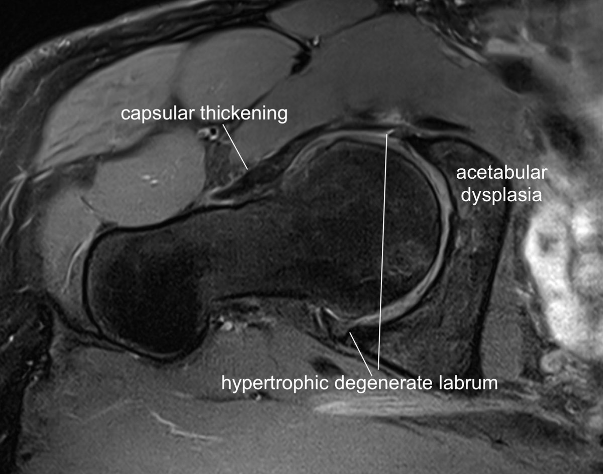 James Noake tweet media