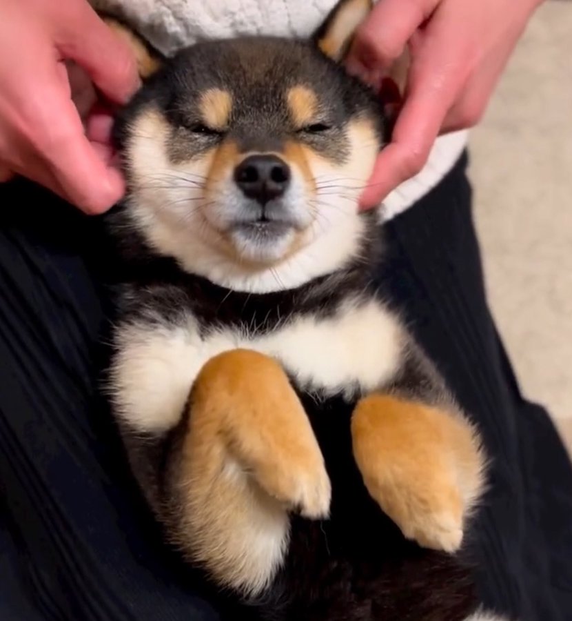 10M coded
BG5MsqoJsrijgaf11rMYZvE9xbUrMuAu8LtA2S3imdaG