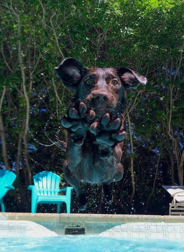 "Best photo ever taken" 😍❤️